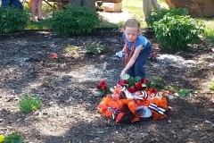 SJMS_2023_Templin_35