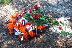 SJMS_2023_Templin_37