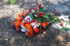 SJMS_2023_Templin_38